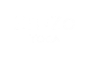 Logo_Zenzo_300x200